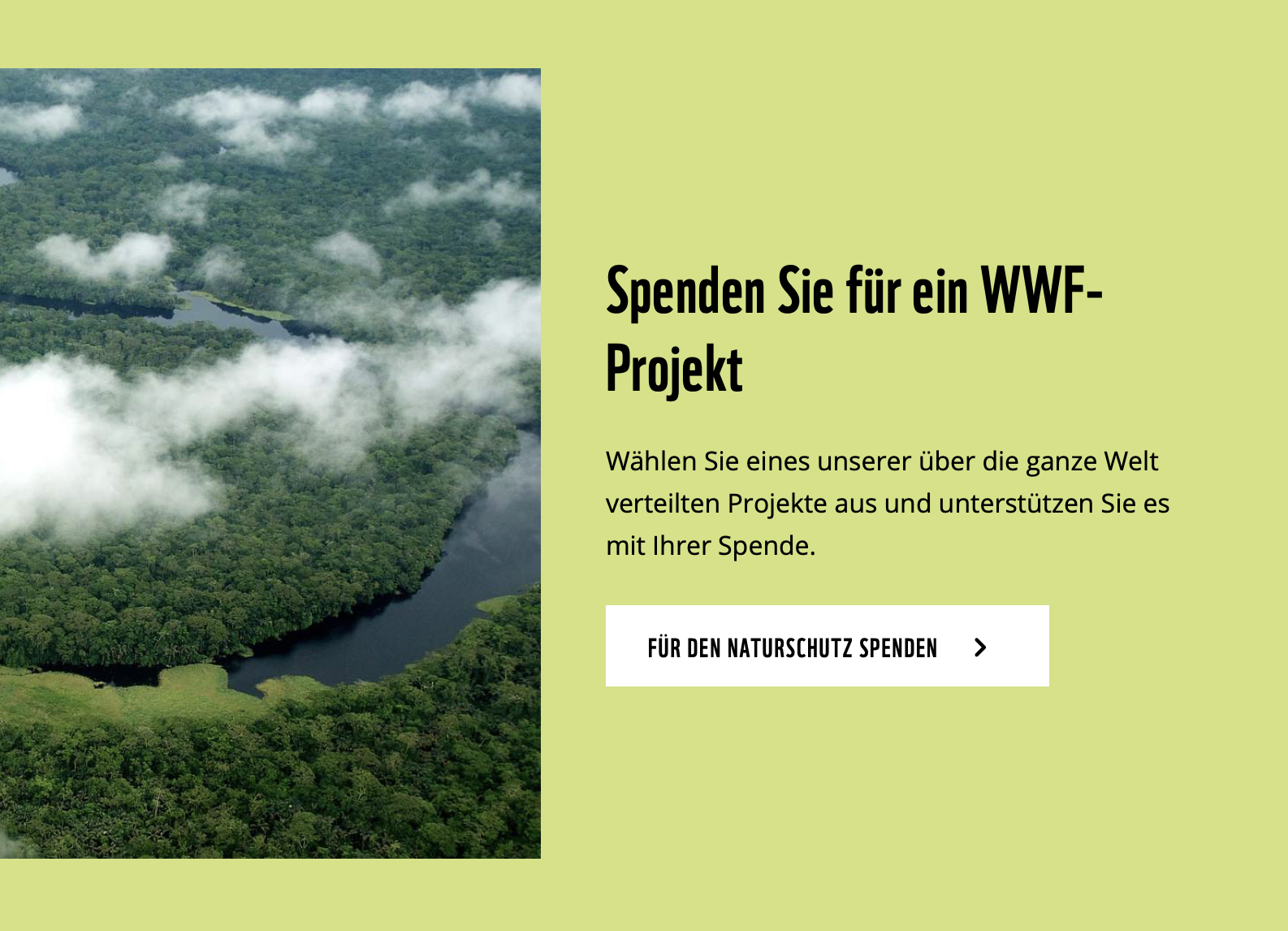 WWF_P